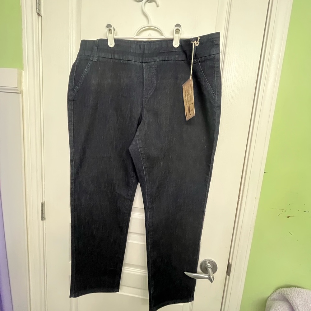 D/C Jeans Blue Denim Savvy Ingeniense Full Leg Size 18P.  NWT!